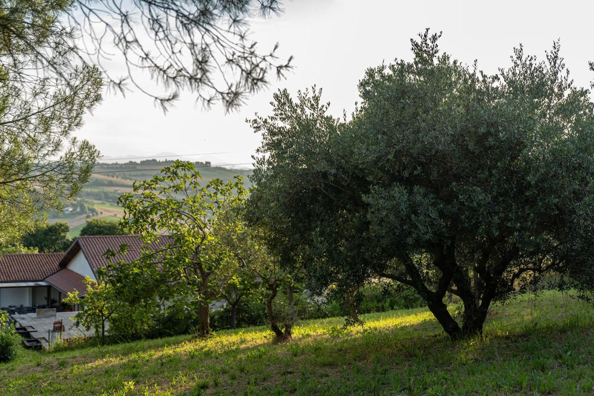 B&B La Figuretta Iesi Exterior foto