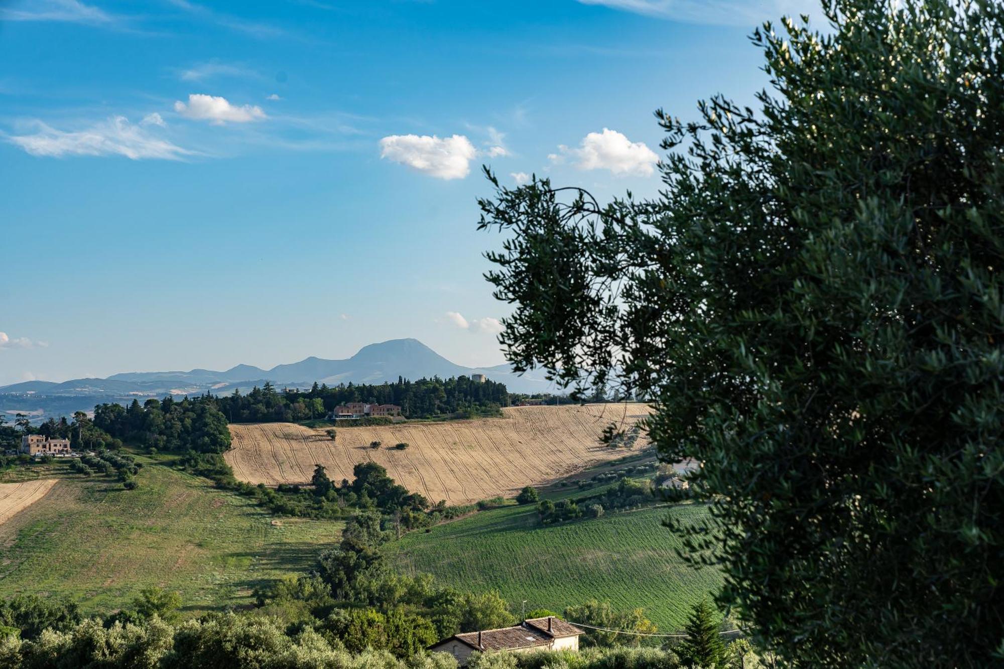 B&B La Figuretta Iesi Exterior foto