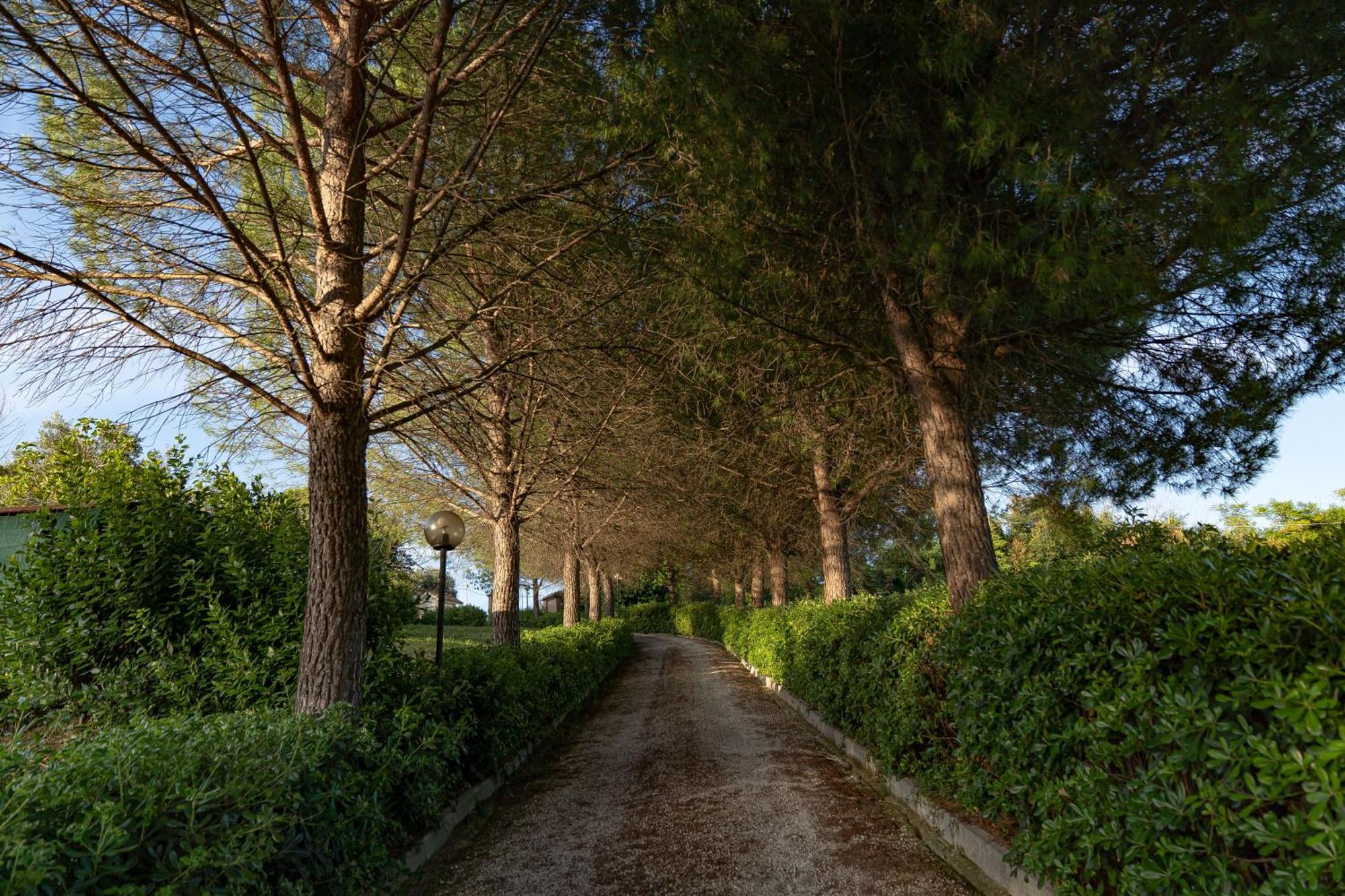 B&B La Figuretta Iesi Exterior foto